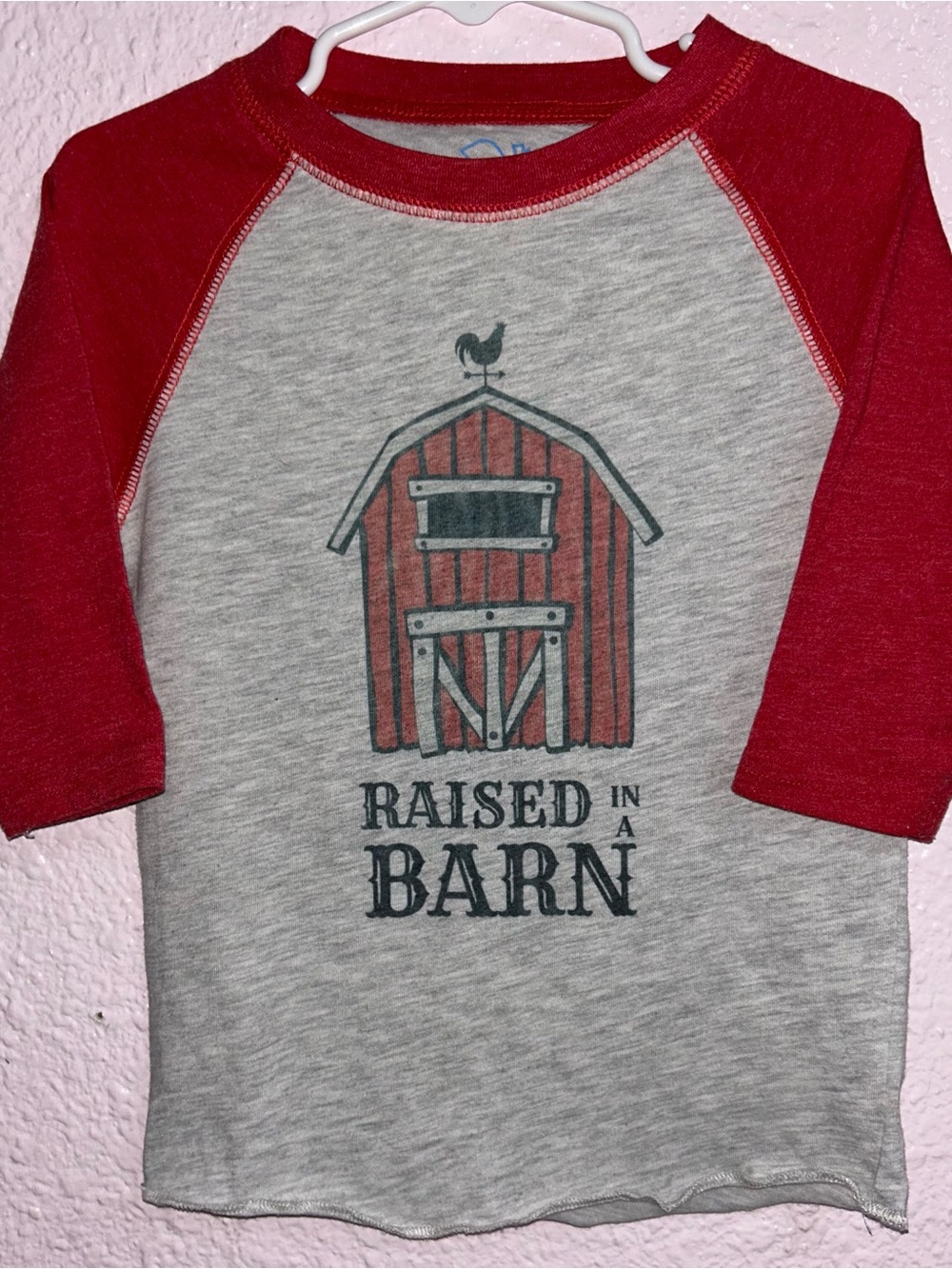 Kids Red & Gray Raglan Tee with Barn Graphic